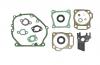 MTD-Engines GASKET KIT