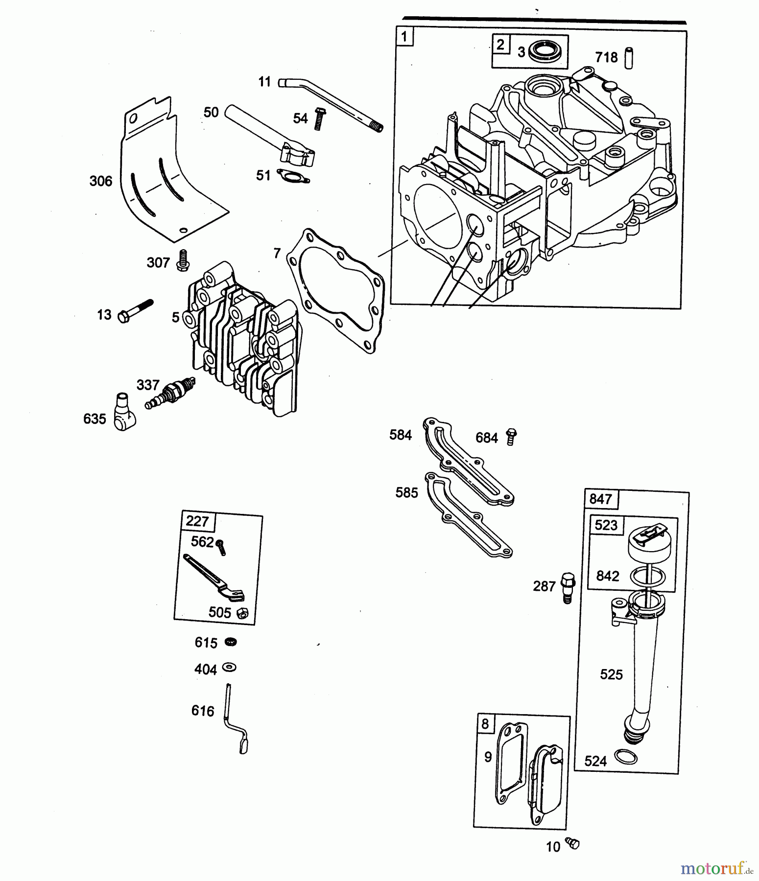  Wolf-Garten Petrol engines Briggs&Stratton Quantum 55 XM 2075000-55  (2004) Crankcase, Cylinder head