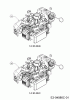 Cub Cadet LM2 DR53 12D-PRKC603 (2019) Ricambi Engine