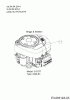 Cub Cadet CC 1018 AN 13HD90AN603 (2014) Ricambi Engine Briggs & Stratton to 04.04.2014