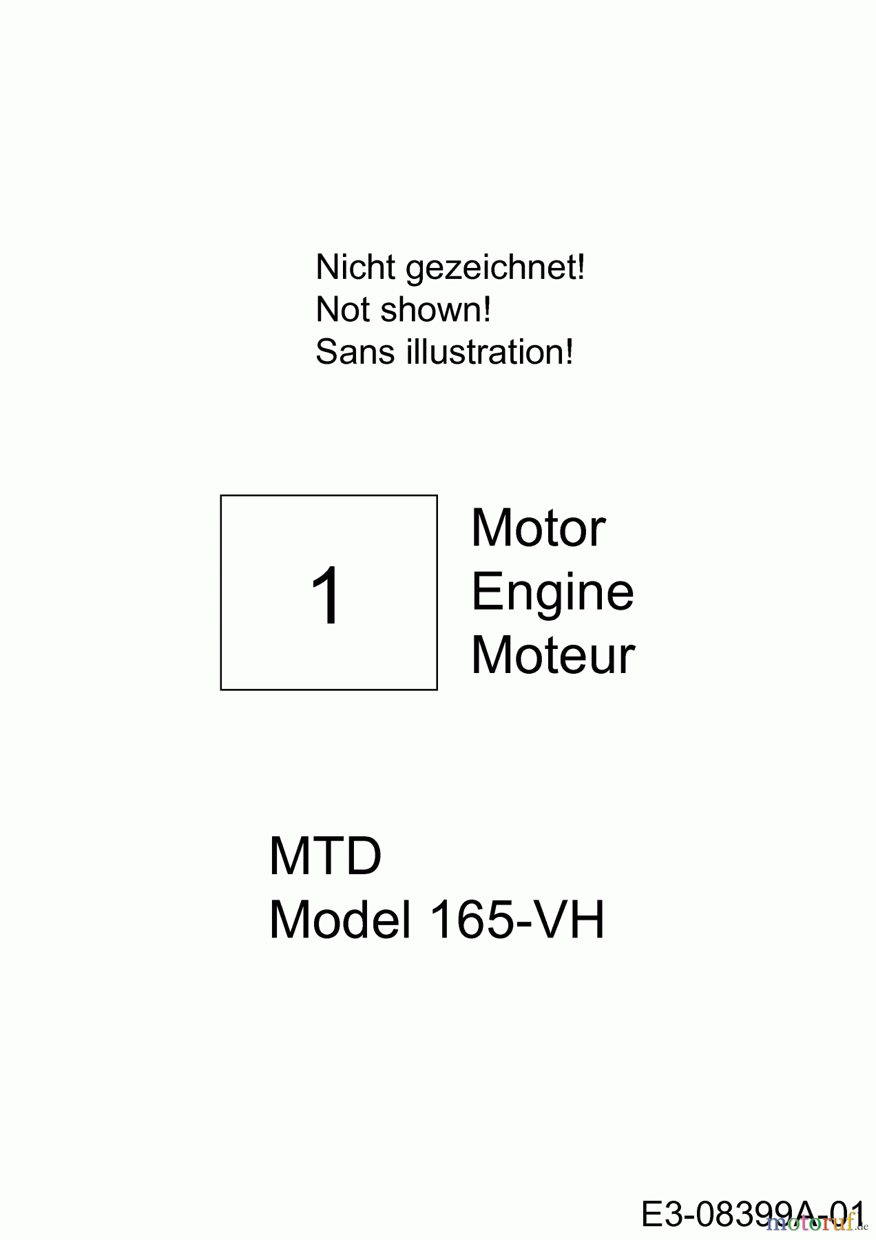  MTD Petrol verticutter VG 45 BM 16CH6AMV600  (2013) Engine MTD