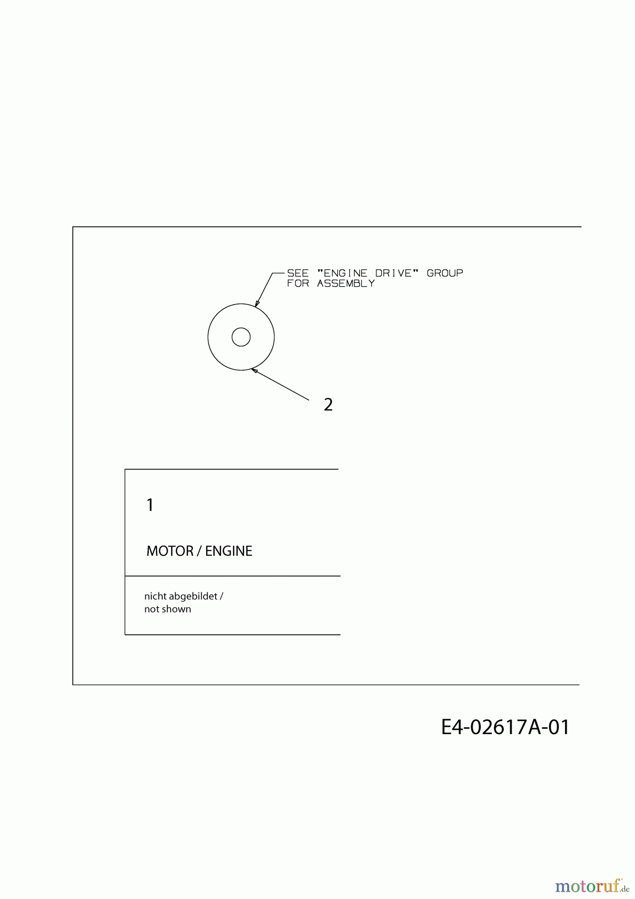  White Snow throwers E 660 G 31AE6LLG590  (2007) Engine
