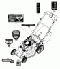 Murray BTXP22700HW (7800743) - Brute 22" Walk-Behind Mower (2011) Ricambi Decals Group (7502208)