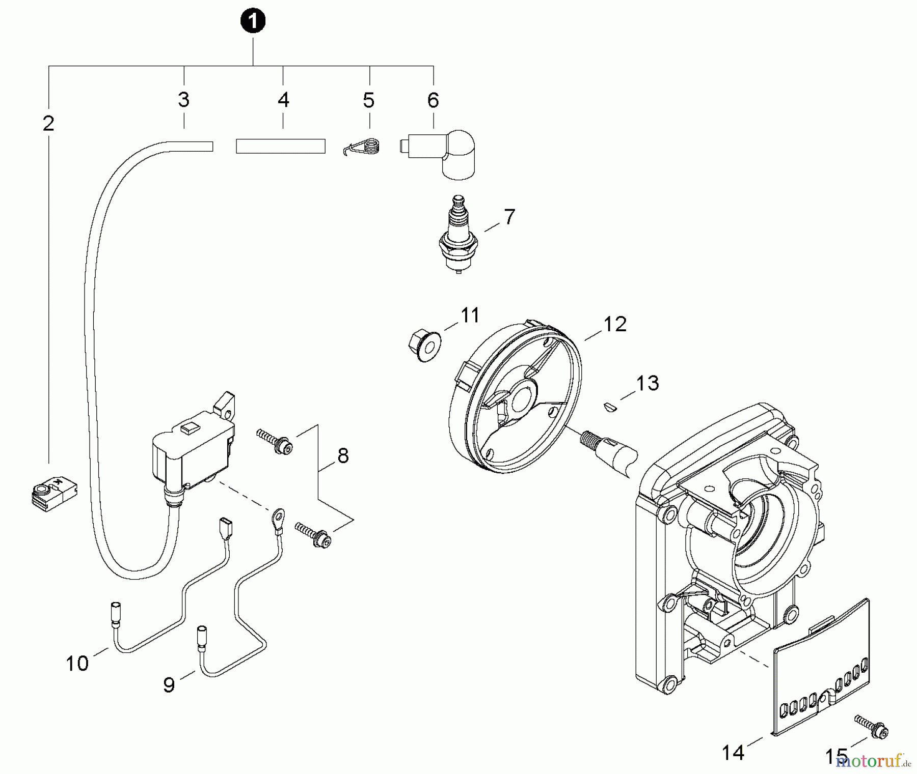  Shindaiwa Bläser / Sauger / Häcksler / Mulchgeräte EB802 - Shindaiwa Back Pack Blower, Ignition / Flywheel