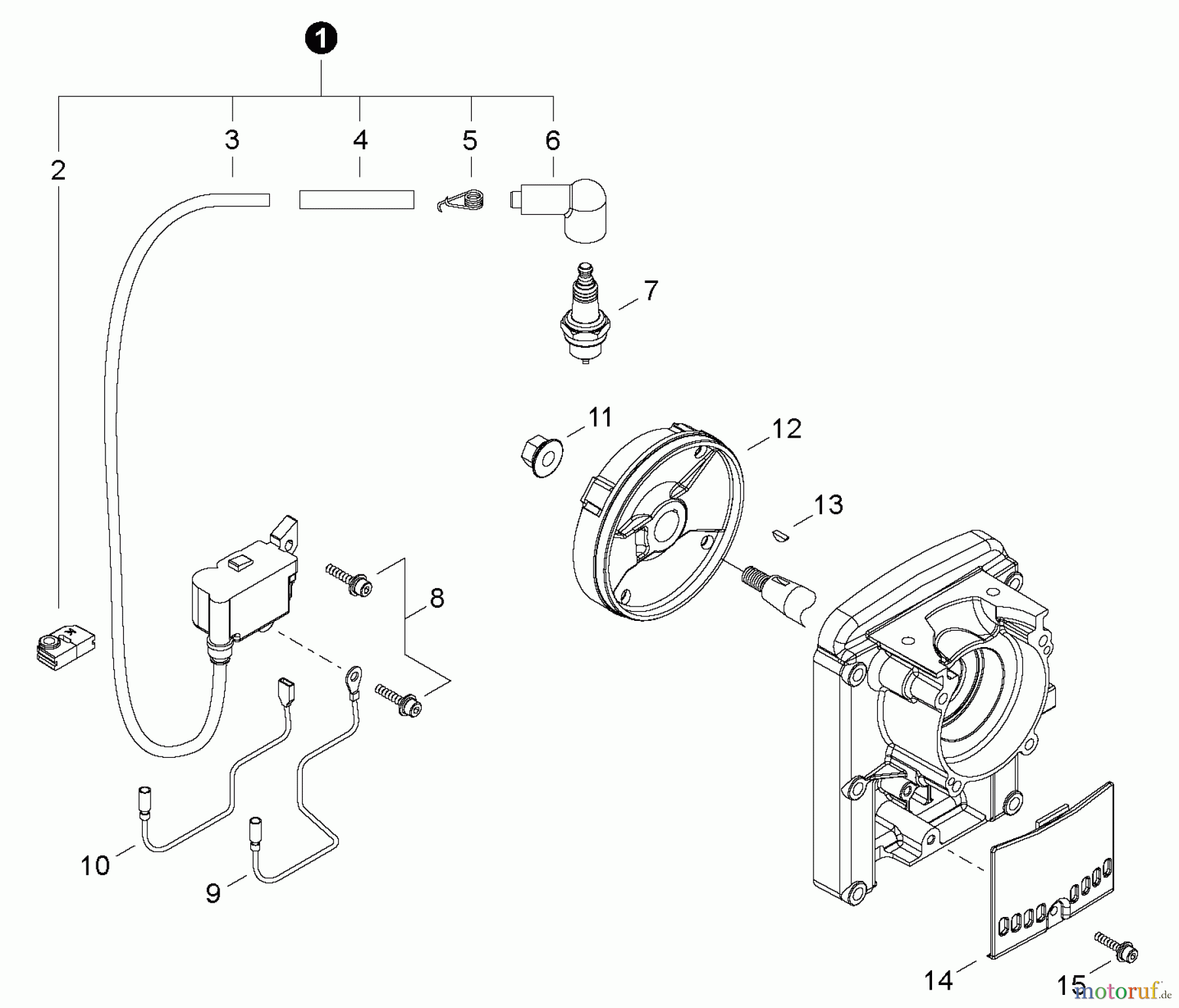  Shindaiwa Bläser / Sauger / Häcksler / Mulchgeräte EB802RT - Shindaiwa Back Pack Blower, Ignition / Flywheel