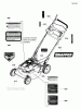 Snapper CP215520HV (7800849) - 21" Walk-Behind Mower, 5.5 GTP Steel Deck Commercial Series 20 Ricambi Decal Group