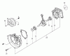 Tanaka TBC-245PF - Grass Trimmer Ricambi Crankcase & Flywheel