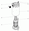 Toro 18301 - Electric Whirlwind Lawnmower, 1970 (0000001-0999999) Listas de piezas de repuesto y dibujos ELECTRIC MOTOR