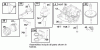 Toro 71280 (17-44HXLE) - 17-44HXLE Lawn Tractor, 2000 (200000001-200999999) Ricambi ENGINE BRIGGS & STRATTON MODEL 312777-0128-E1 #3
