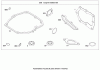 Toro 20089 - 22" Recycler Lawn Mower, 2008 (280000001-280999999) Ricambi ENGINE GASKET SET BRIGGS AND STRATTON 126L05-0213-F1
