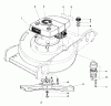 Toro 20758 - Lawnmower, 1981 (1000001-1999999) Ricambi ENGINE ASSEMBLY