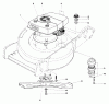 Toro 20772 - Lawnmower, 1980 (0000001-0999999) Ricambi ENGINE ASSEMBLY