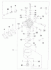 Toro 22171 - Recycler Mower, 2000 (200000001-200999999) Ricambi CARBURETOR