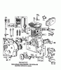 Toro 38160 (1132) - 1132 Snowthrower, 1979 (9000001-9999999) Ricambi ENGINE BRIGGS & STRATTON MODEL NO. 252416 TYPE NO. 0141-01